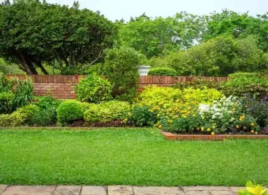 landscaping services Patterson Springs